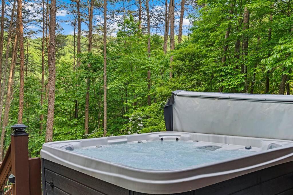 Lakeside Retreat Hot Tub Fishing Hiking Ellijay Dış mekan fotoğraf