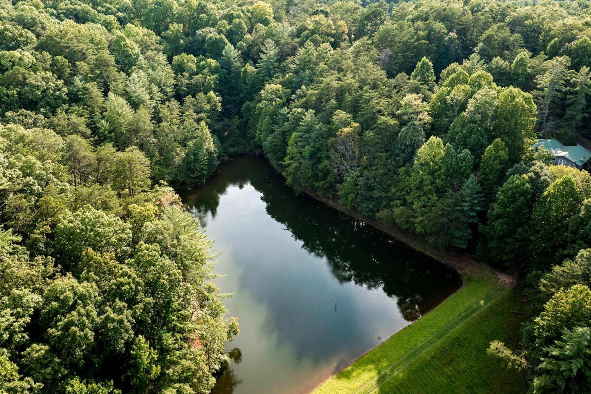 Lakeside Retreat Hot Tub Fishing Hiking Ellijay Dış mekan fotoğraf