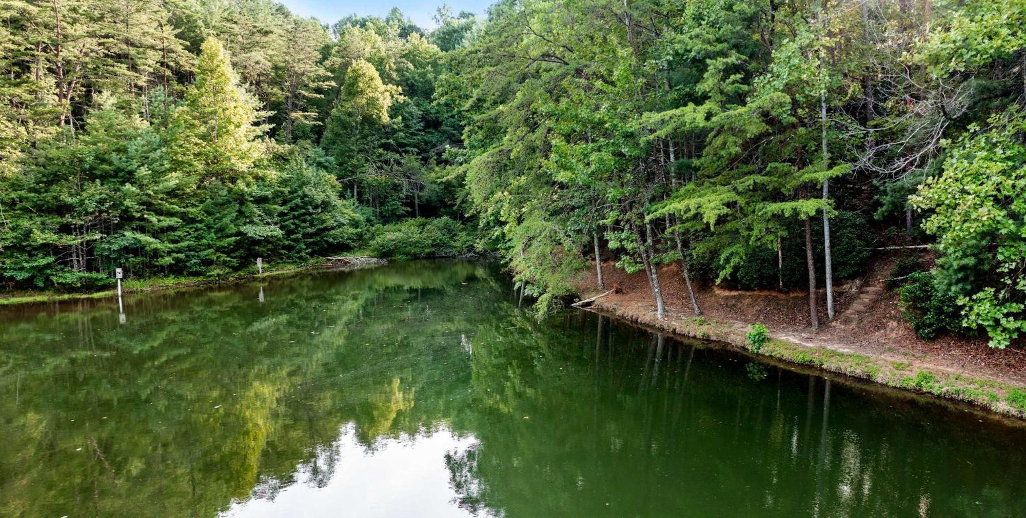 Lakeside Retreat Hot Tub Fishing Hiking Ellijay Dış mekan fotoğraf